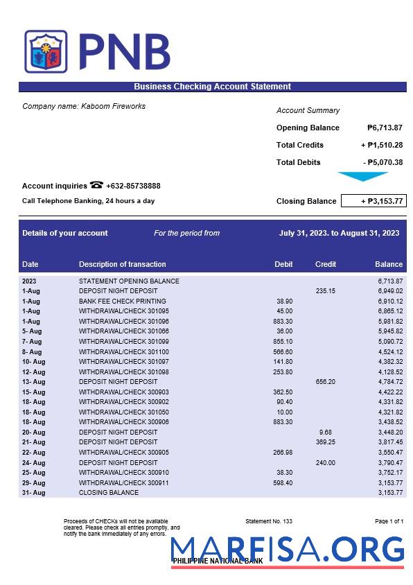 Printable Philippine National Bank Business statement Word and PDF template